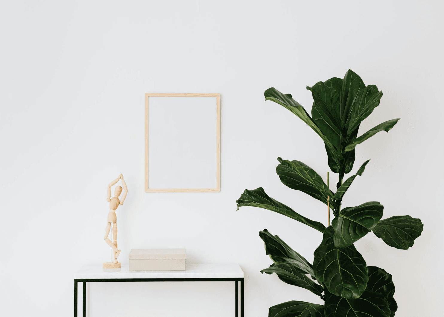 Minimal workspace with a green plant behind the Proof app preview