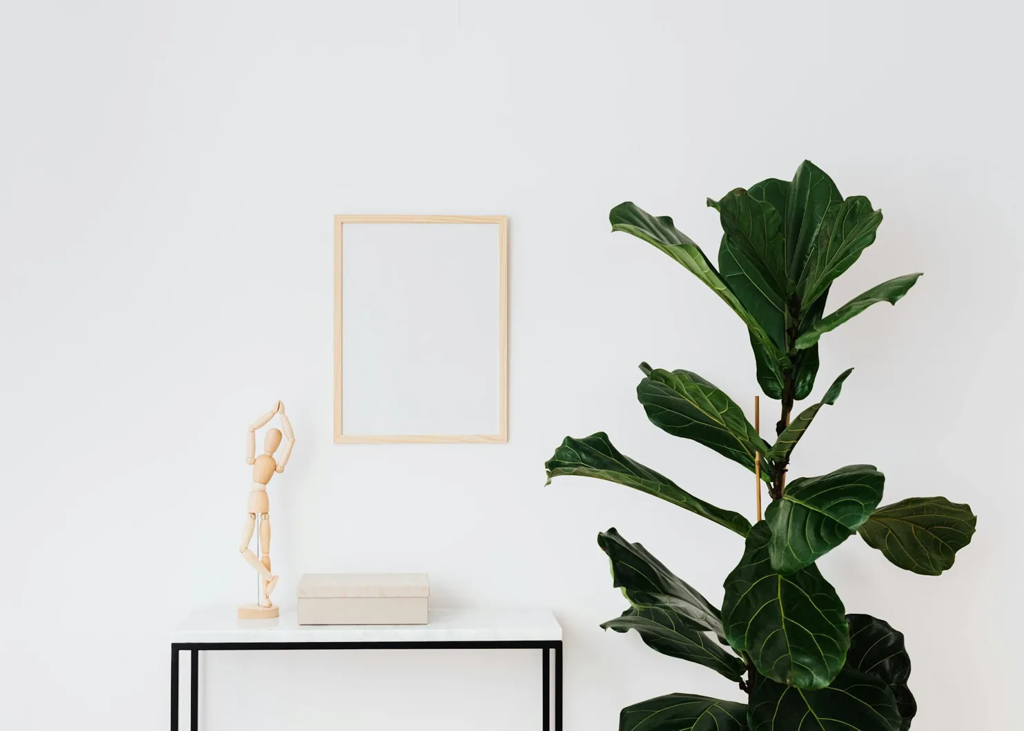 Minimal workspace with a green plant behind the Proof app preview